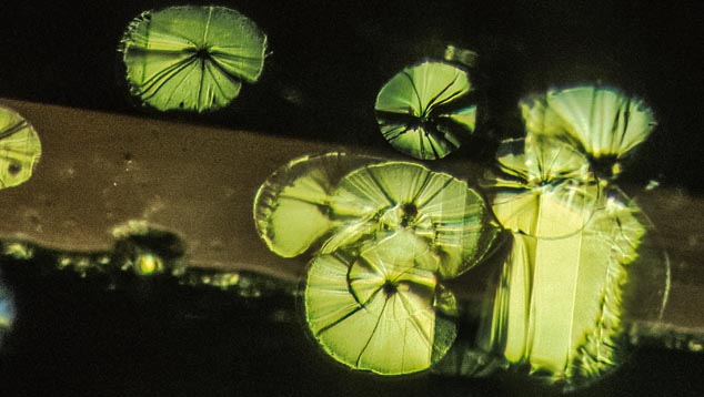 August Birthstone - Peridot Lily Pad Inclusions