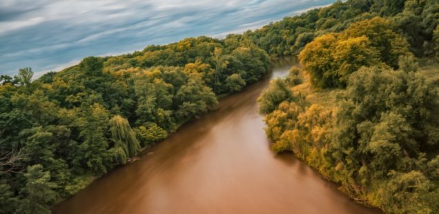 River Revitalization Alliance